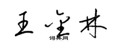 梁锦英王金林草书个性签名怎么写