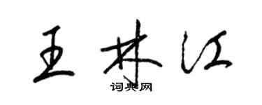 梁锦英王林江草书个性签名怎么写