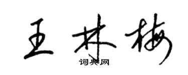 梁锦英王林梅草书个性签名怎么写