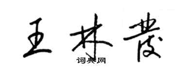 梁锦英王林发草书个性签名怎么写
