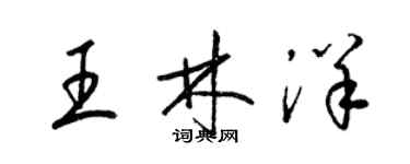 梁锦英王林洋草书个性签名怎么写