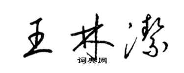 梁锦英王林洁草书个性签名怎么写