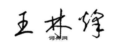 梁锦英王林烽草书个性签名怎么写