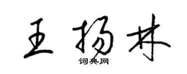 梁锦英王扬林草书个性签名怎么写
