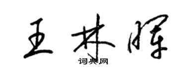 梁锦英王林晖草书个性签名怎么写