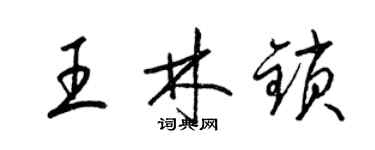 梁锦英王林锁草书个性签名怎么写