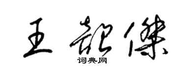 梁锦英王韶杰草书个性签名怎么写