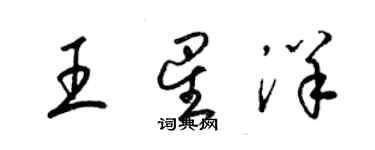 梁锦英王星洋草书个性签名怎么写
