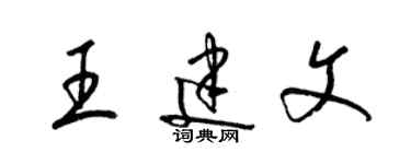 梁锦英王建文草书个性签名怎么写