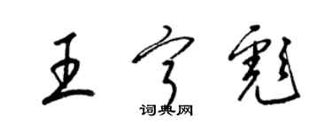 梁锦英王宁彪草书个性签名怎么写