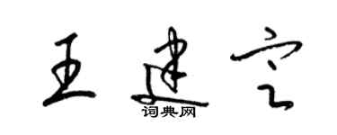 梁锦英王建定草书个性签名怎么写