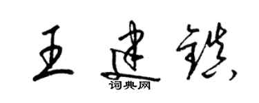 梁锦英王建镇草书个性签名怎么写
