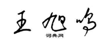梁锦英王旭鸣草书个性签名怎么写