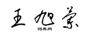 梁锦英王旭兰草书个性签名怎么写