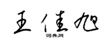 梁锦英王佳旭草书个性签名怎么写
