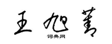 梁锦英王旭菁草书个性签名怎么写
