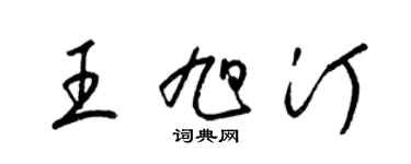 梁锦英王旭汀草书个性签名怎么写