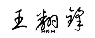 梁锦英王翻锋草书个性签名怎么写