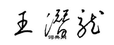 梁锦英王潜龙草书个性签名怎么写