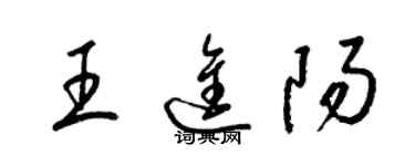 梁锦英王进阳草书个性签名怎么写
