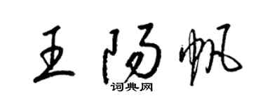 梁锦英王阳帆草书个性签名怎么写