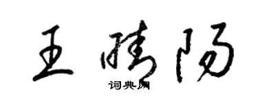 梁锦英王晴阳草书个性签名怎么写