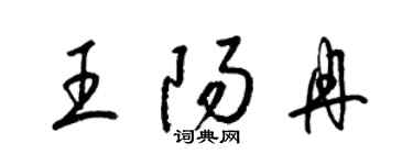 梁锦英王阳冉草书个性签名怎么写