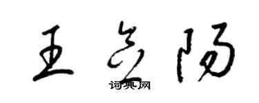 梁锦英王念阳草书个性签名怎么写