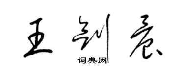 梁锦英王剑晨草书个性签名怎么写