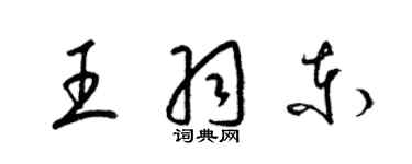 梁锦英王羽东草书个性签名怎么写