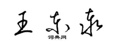 梁锦英王东泰草书个性签名怎么写
