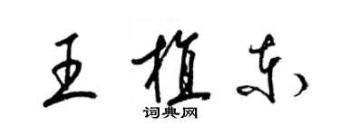 梁锦英王植东草书个性签名怎么写