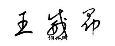 梁锦英王威昂草书个性签名怎么写