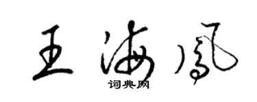 梁锦英王海凤草书个性签名怎么写