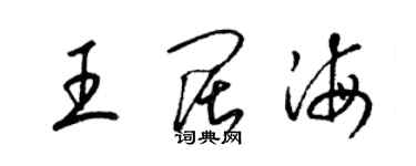 梁锦英王阔海草书个性签名怎么写