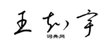 梁锦英王知宇草书个性签名怎么写
