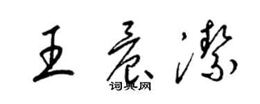 梁锦英王晨洁草书个性签名怎么写