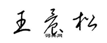 梁锦英王晨松草书个性签名怎么写