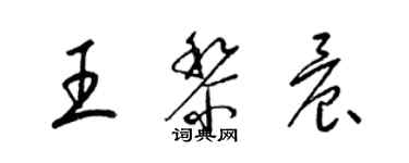 梁锦英王黎晨草书个性签名怎么写