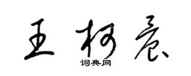 梁锦英王柯晨草书个性签名怎么写