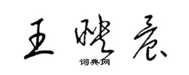 梁锦英王映晨草书个性签名怎么写