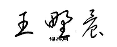 梁锦英王野晨草书个性签名怎么写
