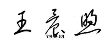 梁锦英王晨煦草书个性签名怎么写