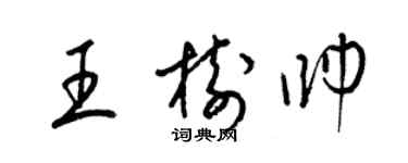 梁锦英王树帅草书个性签名怎么写