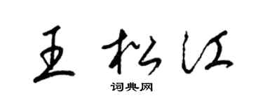 梁锦英王松江草书个性签名怎么写
