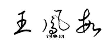 梁锦英王凤敏草书个性签名怎么写