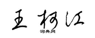 梁锦英王柯江草书个性签名怎么写