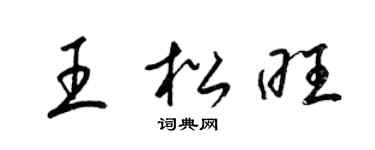 梁锦英王松旺草书个性签名怎么写
