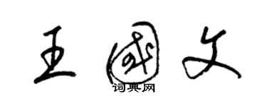 梁锦英王国文草书个性签名怎么写