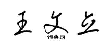 梁锦英王文立草书个性签名怎么写